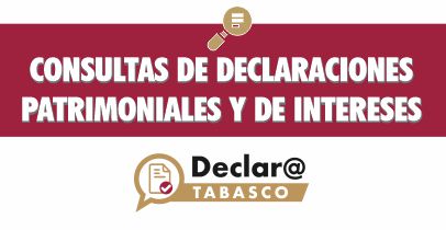 consulta_declaraciones.jpg